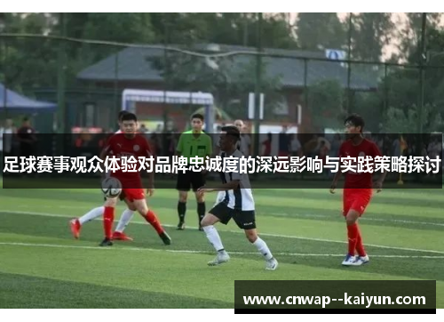 足球赛事观众体验对品牌忠诚度的深远影响与实践策略探讨 足球赛事观众体验对品牌忠诚度的深远影响与实践策略探讨