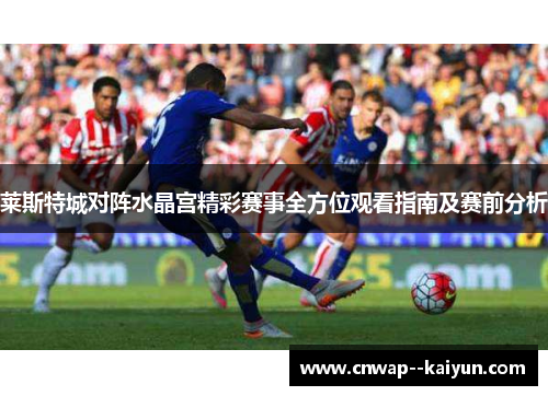 莱斯特城对阵水晶宫精彩赛事全方位观看指南及赛前分析 莱斯特城对阵水晶宫精彩赛事全方位观看指南及赛前分析
