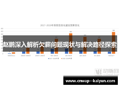 赵鹏深入解析欠薪问题现状与解决路径探索